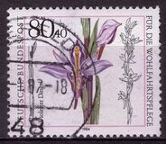 [Charity Stamps - Orchids, тип ALN]