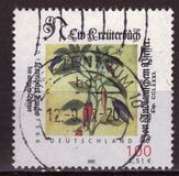 [The 500th Anniversary of the Birth of Leonart Fuch, type BVJ]