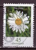 [Flora - Marguerite, tip CFX]