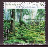 [German National Parks - Bavarian Forest, type CFY]