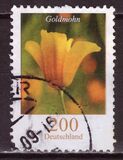 [Flowers - California Poppy, tip CJW]