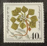 [Charity Stamps - Aquatic  Plants, type AGZ]