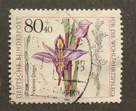 [Charity Stamps - Orchids, тип ALN]