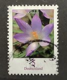 [Definitive Issue - Crocus, tip CGW]