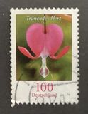 [Definitive Issue - Bleeding Heart, type CJD]