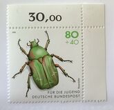 [Youth Hostel - Insects, type BCJ]