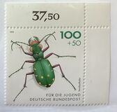 [Youth Hostel - Insects, type BCL]