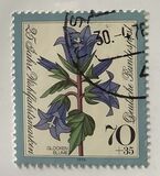 [Charity Stamps - Flowers, type WN]