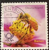 [Fauna - Bees, type CRH]