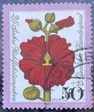 [Charity Stamps - Flowers, type WM]