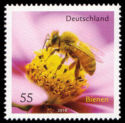 [Fauna - Bees, type CRH]