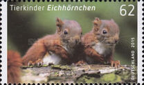 [Baby Animals, type DBI]