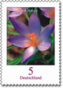 [Definitive Issue - Crocus, type CGW]