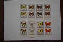 [Youth Hostel - Butterflies, type AWJ]