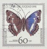 [Youth Hostel - Butterflies, type AWL]