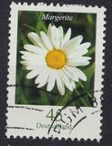 [Flora - Marguerite, type CFX]