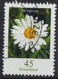 [Flora - Marguerite, type CFX]