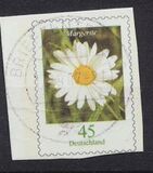 [Flora - Marguerite, type CFX]