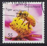 [Fauna - Bees, type CRH]