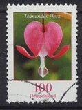 [Definitive Issue - Bleeding Heart, type CJD]