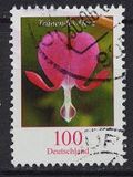 [Definitive Issue - Bleeding Heart, type CJD]