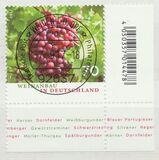 [Wine Production in Germany, type DHI]