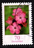 [Definitive Issue - Flowers, tip CIN]