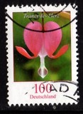 [Definitive Issue - Bleeding Heart, tip CJD]