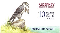 [Birds - The Peregrine Falcon, type EP1]