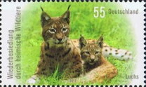 [Repopulation of the Indigenous Wildlife - Lynx and Elk, type CUY]