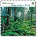 [German National Parks - Bavarian Forest, type CFY]