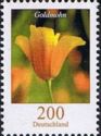 [Flowers - California Poppy, tip CJW]