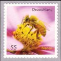 [Fauna - Bees, type CRH]