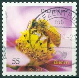 [Fauna - Bees, type CRH]