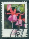 [Flora - Flowers, type DDE]