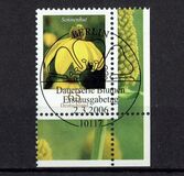 [Definitive Issue - Brilliant Coneflower, type CIL]