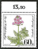 [Charity Stamps - Aquatic  Plants, type AHB]