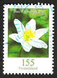 [Definitives - Flowers, type DLL]