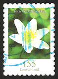 [Definitives - Flowers, type DLL]