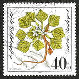 [Charity Stamps - Aquatic  Plants, type AGZ]