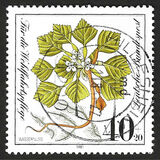 [Charity Stamps - Aquatic  Plants, type AGZ]