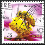 [Fauna - Bees, type CRH]