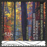 [UNESCO World Heritage - Buchenwald Forrest, type CZC]