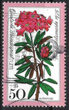 [Charity Stamps - Alpine Flowers, type YJ]