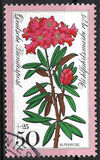 [Charity Stamps - Alpine Flowers, type YJ]