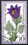 [Charity Stamps - Alpine Flowers, type YK]