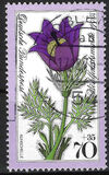 [Charity Stamps - Alpine Flowers, type YK]