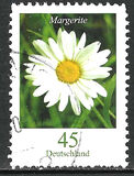 [Flora - Marguerite, type CFX]