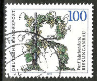 [The 500th Anniversary of the Viticulture of Riesling, tip ATT]