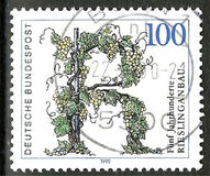 [The 500th Anniversary of the Viticulture of Riesling, tip ATT]